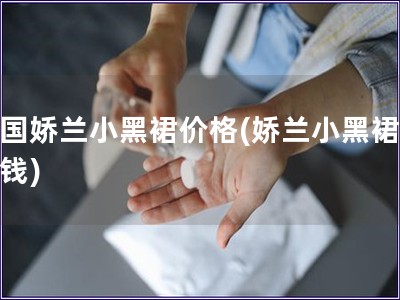 法國嬌蘭小黑裙價格(嬌蘭小黑裙多少錢)