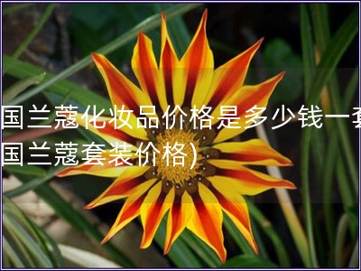 法國蘭蔻化妝品價格是多少錢一套(法國蘭蔻套裝價格)