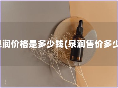 泉潤價格是多少錢(泉潤售價多少)