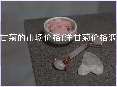 洋甘菊的市場價格(洋甘菊價格調查)