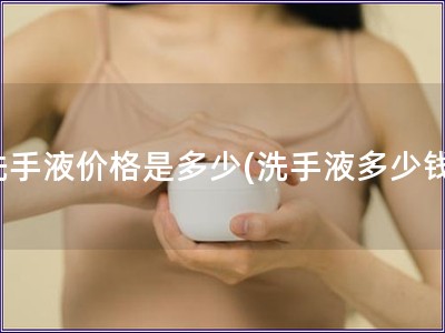 洗手液價格是多少(洗手液多少錢)