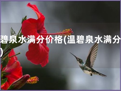 溫碧泉水滿分價(jià)格(溫碧泉水滿分好價(jià))