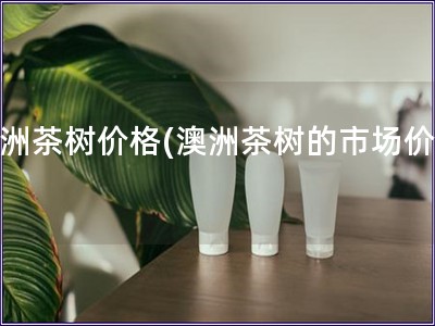 澳洲茶樹價(jià)格(澳洲茶樹的市場(chǎng)價(jià)格)