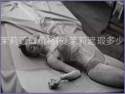 愛茉莉遮瑕價格(愛茉莉遮瑕多少錢)