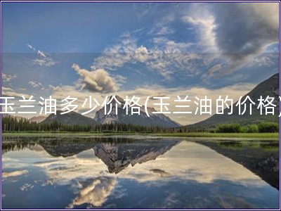 玉蘭油多少價格(玉蘭油的價格)