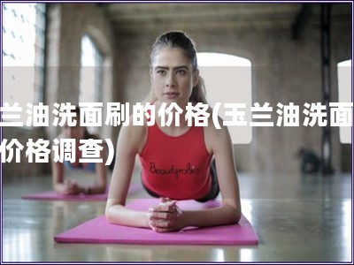 玉蘭油洗面刷的價格(玉蘭油洗面刷的價格調查)