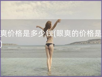 眼爽價格是多少錢(眼爽的價格是多少)