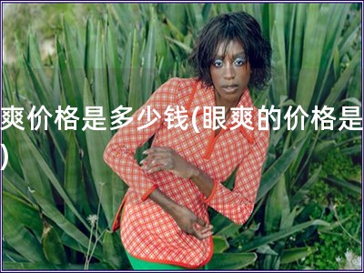 眼爽價格是多少錢(眼爽的價格是多少)