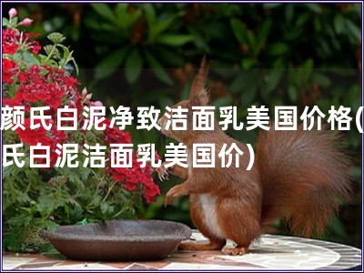 科顏氏白泥凈致潔面乳美國價格(科顏氏白泥潔面乳美國價)