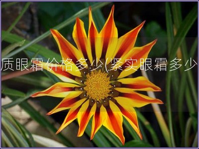 緊質(zhì)眼霜價(jià)格多少(緊實(shí)眼霜多少錢)