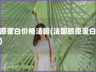 膠原蛋白價格法國(法國膠原蛋白價格)