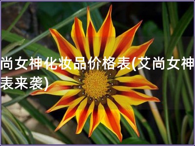 艾尚女神化妝品價格表(艾尚女神價格表來襲)