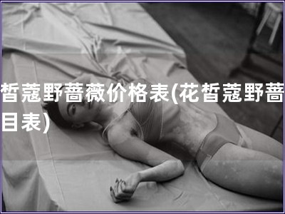 花皙蔻野薔薇價(jià)格表(花皙蔻野薔薇價(jià)目表)