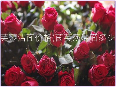茵芙莎潔面價格(茵芙莎潔面多少錢)