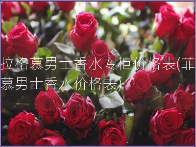 菲拉格慕男士香水專柜價格表(菲拉格慕男士香水價格表)