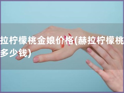 赫拉檸檬桃金娘價格(赫拉檸檬桃金娘多少錢)