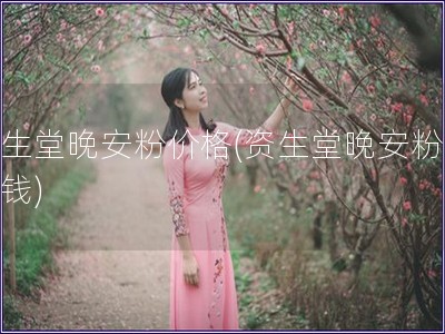 資生堂晚安粉價(jià)格(資生堂晚安粉多少錢)