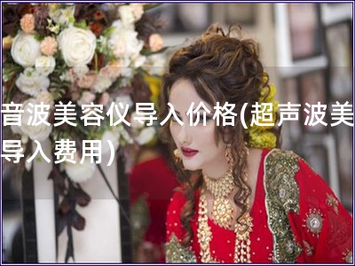 超音波美容儀導入價格(超聲波美容儀導入費用)