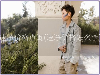 速凈價格查詢(速凈價格怎么查)