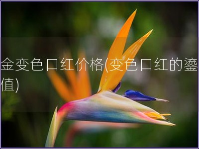 鎏金變色口紅價格(變色口紅的鎏金價值)