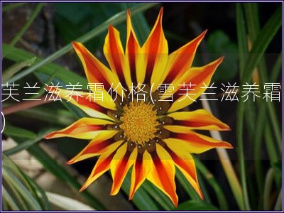 雪芙蘭滋養霜價格(雪芙蘭滋養霜多貴)