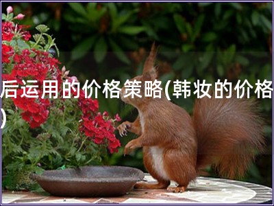 韓后運用的價格策略(韓妝的價格戰略)