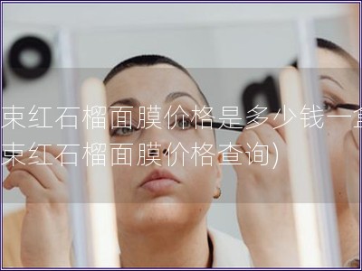 韓束紅石榴面膜價格是多少錢一盒(韓束紅石榴面膜價格查