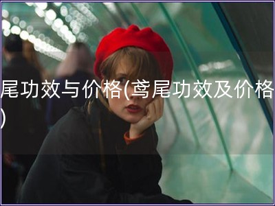 鳶尾功效與價格(鳶尾功效及價格分析)