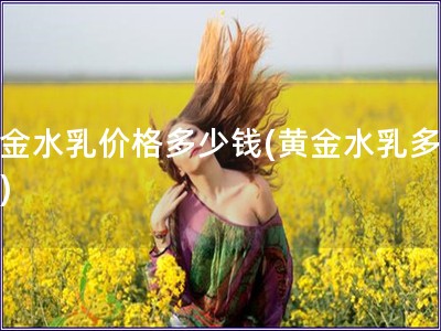 黃金水乳價格多少錢(黃金水乳多少錢)
