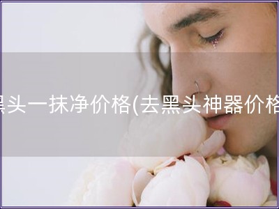 黑頭一抹凈價格(去黑頭神器價格)